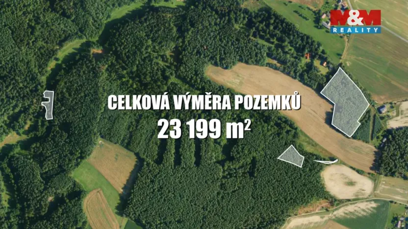 Prodej lesa, Všelibice - Přibyslavice, 23199 m2