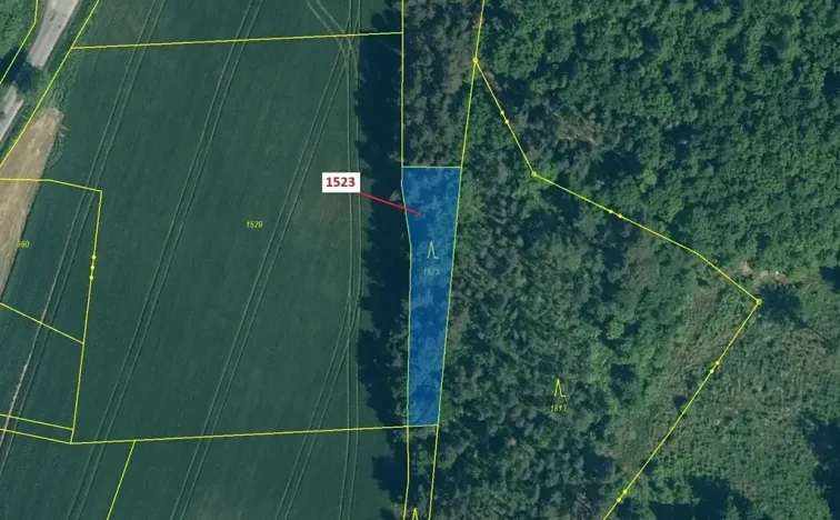 Dražba lesa, Hradiště, 645 m2