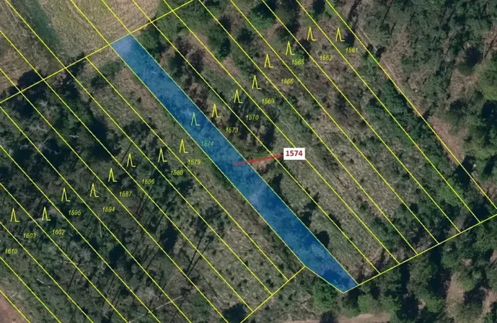 Dražba lesa, Březník, 885 m2