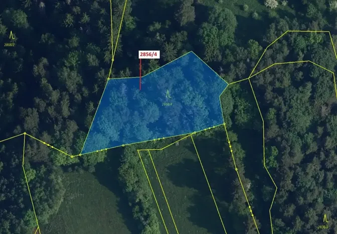 Dražba lesa, Český Dub, 2709 m2