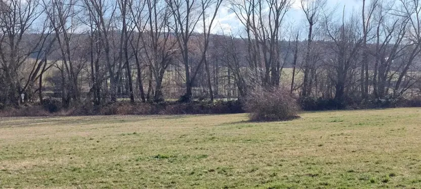 Prodej podílu louky, Podluhy, 1240 m2