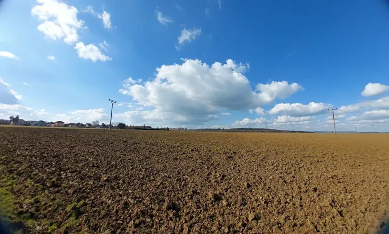 Prodej podílu pole, Podluhy, 12741 m2