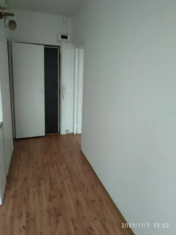 Pronájem bytu 1+1, Žatec, Růžová, 40 m2