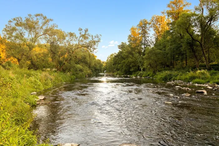 Prodej pozemku, Vlastějovice - Kounice, 650 m2