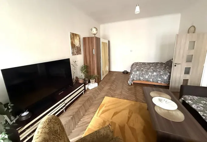 Pronájem bytu 2+1, Brno - Staré Brno, Pekařská, 70 m2