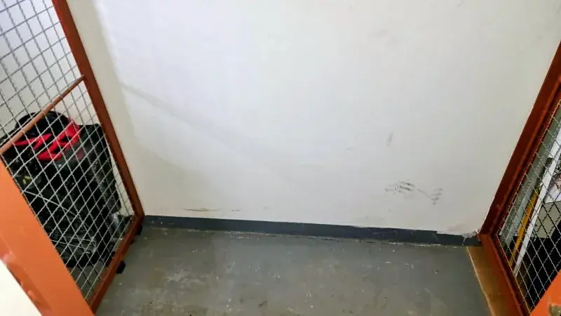 Prodej bytu 3+kk, Jihlava, 67 m2