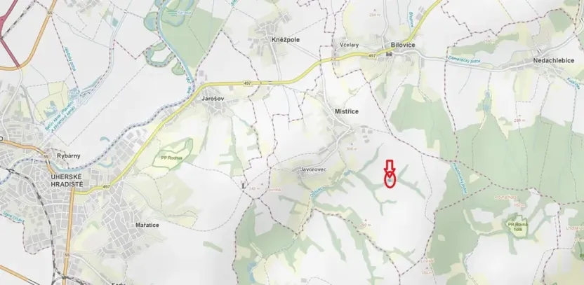 Prodej lesa, Mistřice, 1951 m2