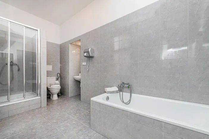 Pronájem pokoje, Plzeň, Riegrova, 190 m2