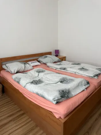 Prodej bytu 3+kk, Brno, Hvozdecká, 60 m2