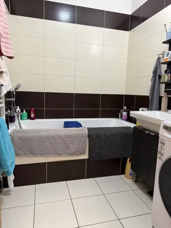 Prodej bytu 3+kk, Brno, Hvozdecká, 60 m2