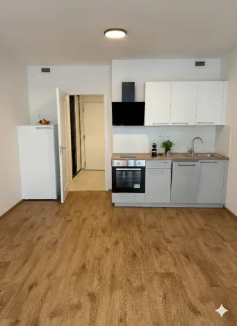 Pronájem bytu 1+kk, Praha - Hloubětín, Poděbradská, 32 m2