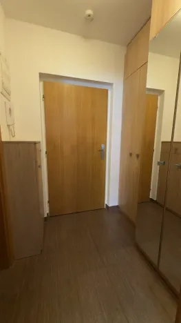 Pronájem bytu 1+kk, Brno, Vinohrady, 38 m2