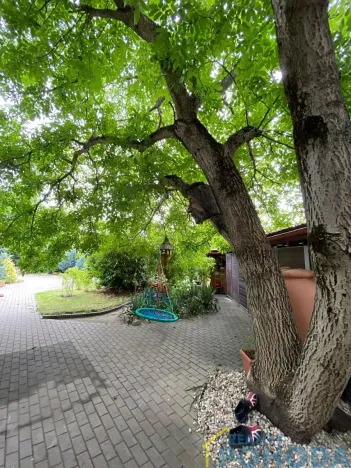 Pronájem bytu 2+kk, Holice, Hradecká, 54 m2