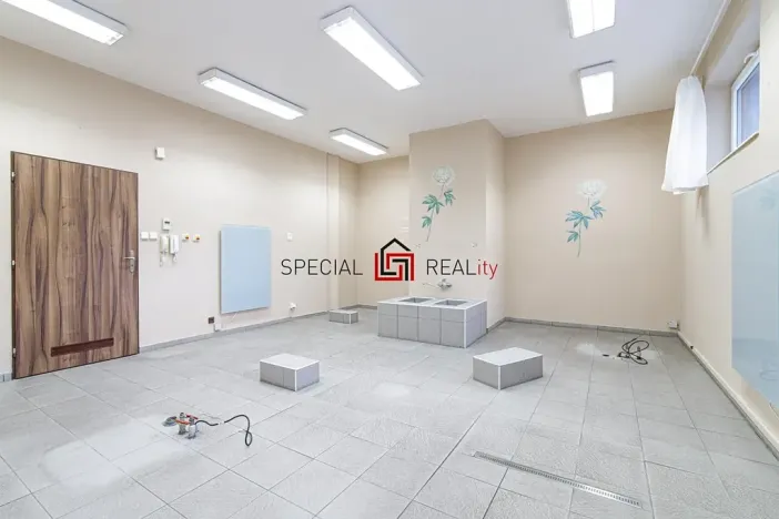 Prodej komerční nemovitosti, Ostrava, U Staré elektrárny, 53 m2