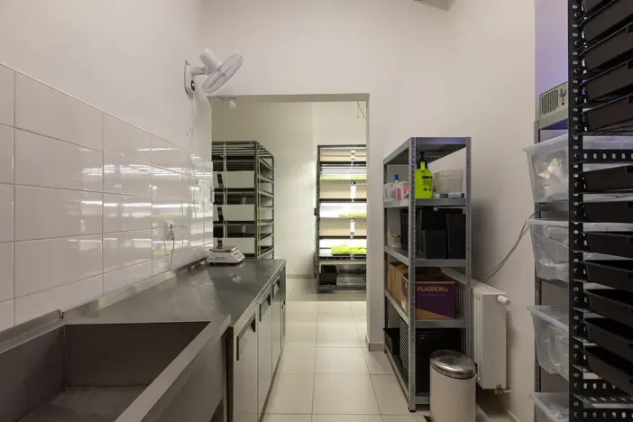 Pronájem obchodního prostoru, Praha - Nové Město, Pštrossova, 79 m2