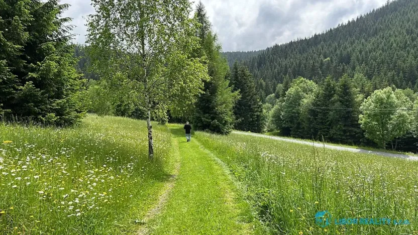 Prodej lesa, Krásná, 21810 m2