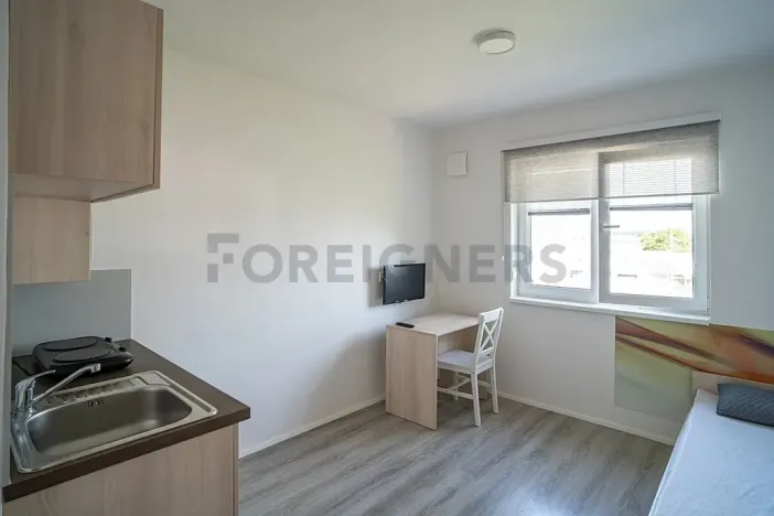 Pronájem bytu 1+kk, Pardubice, K Rozvodně, 22 m2