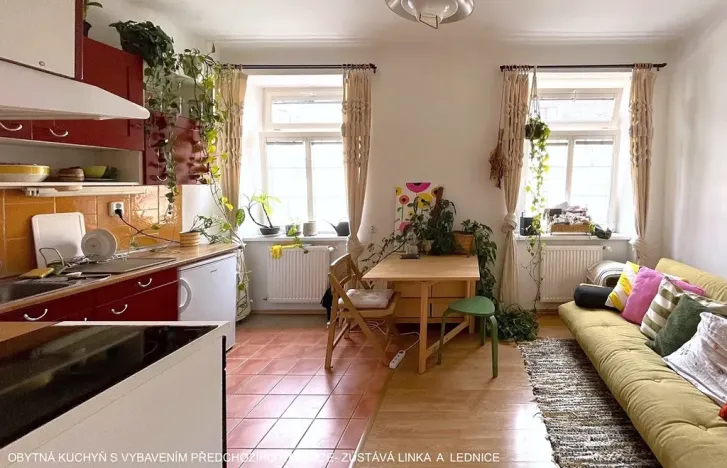 Pronájem bytu 1+1, Brno, Gorkého, 40 m2