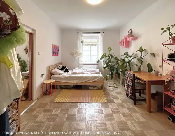 Pronájem bytu 2+kk, Brno, Gorkého, 40 m2