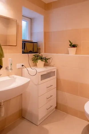 Prodej rodinného domu, Domašov u Šternberka, 400 m2