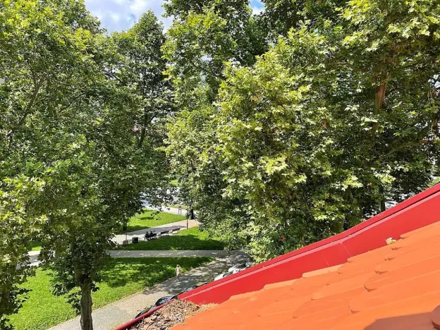 Prodej bytu 2+kk, Praha - Karlín, Kollárova, 67 m2