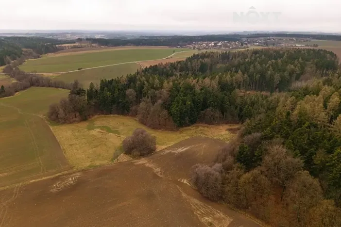 Prodej louky, Niva, 7301 m2