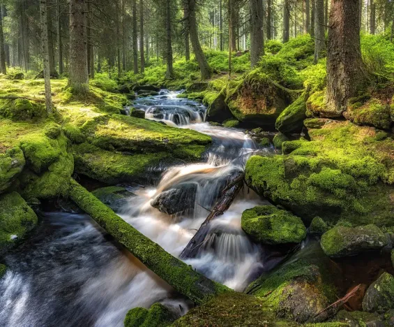 Prodej restaurace, Kvilda, 253 m2