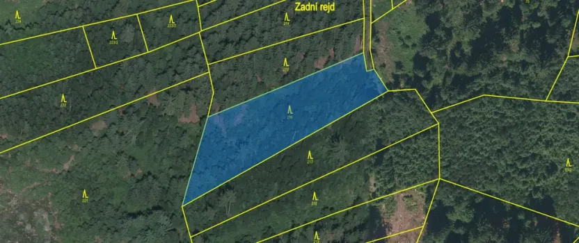 Prodej lesa, Kolinec - Buršice, 3423 m2