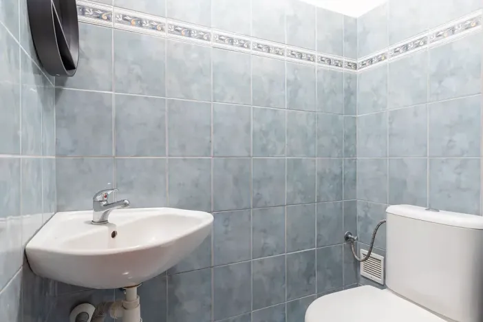 Prodej rodinného domu, Bučovice, Smetanova, 196 m2