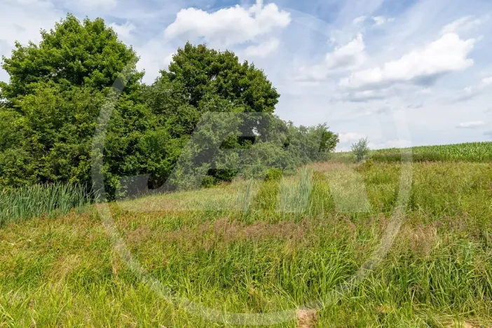 Prodej zahrady, Divišov, Vlašimská, 3569 m2