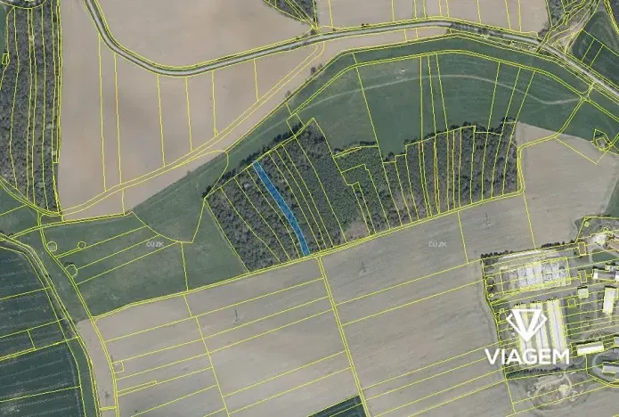 Prodej podílu lesa, Koloveč, 629 m2