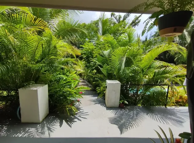 Prodej rodinného domu, Puerto Carrillo, Kostarika, 210 m2