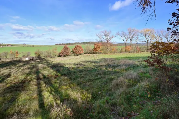 Prodej pozemku pro bydlení, Daleké Dušníky, 1217 m2