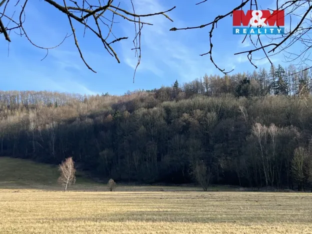 Prodej pozemku pro bydlení, Náchod, Promenádní, 13250 m2