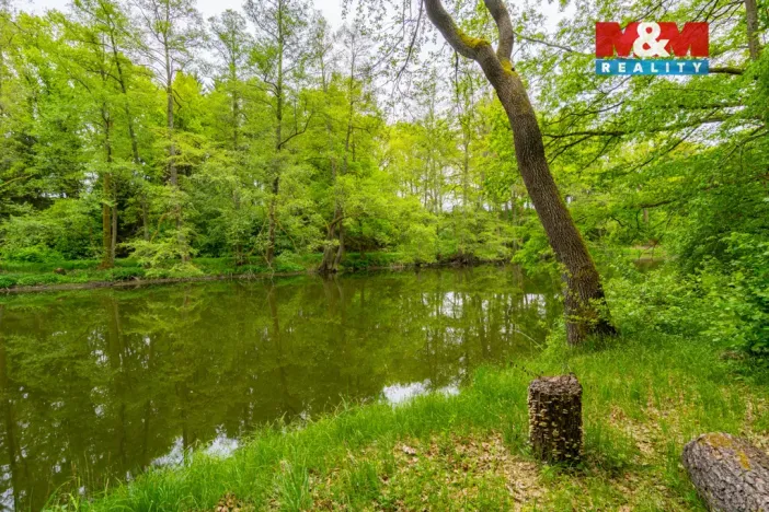 Prodej chaty, Plavsko, 30 m2