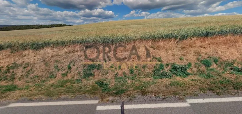 Prodej podílu pole, Moravany, 2556 m2