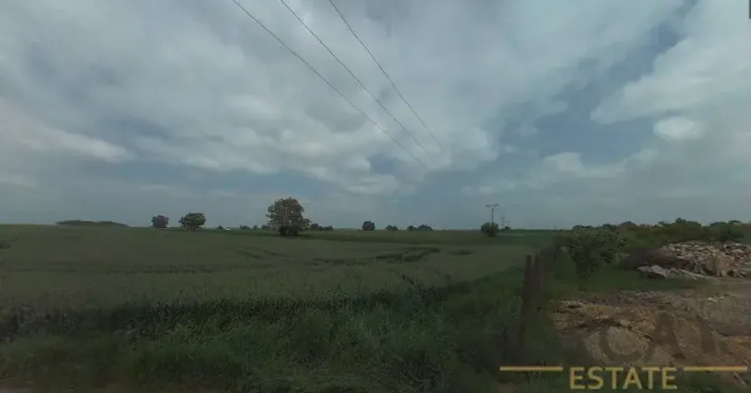 Prodej pole, Hrušky, 9415 m2