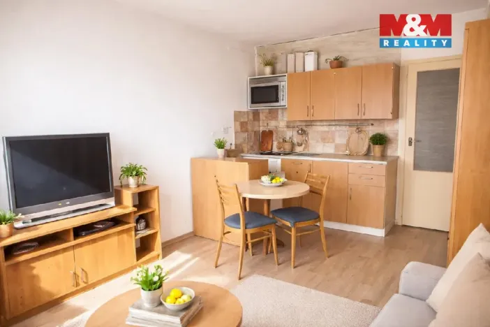 Pronájem bytu 1+kk, Strakonice - Strakonice I, Mlýnská, 26 m2