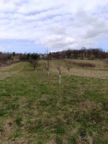 Prodej zahrady, Uherský Brod, 899 m2