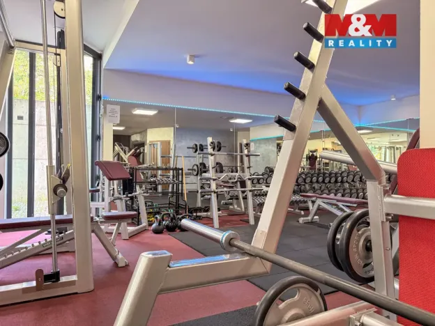 Prodej obchodního prostoru, Praha - Smíchov, Kobrova, 276 m2