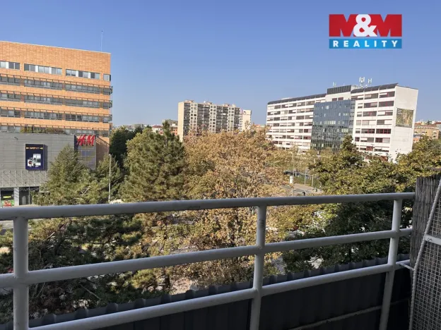 Pronájem bytu 3+1, Praha - Vršovice, U Slavie, 71 m2