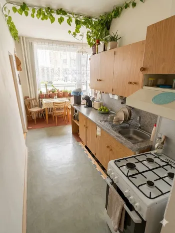 Prodej bytu 1+1, Olomouc - Nová Ulice, Pionýrská, 45 m2