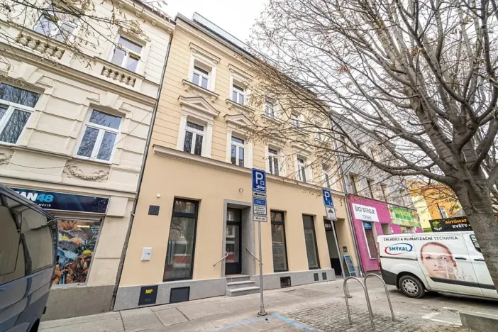 Pronájem bytu 1+kk, Brno, Palackého třída, 29 m2