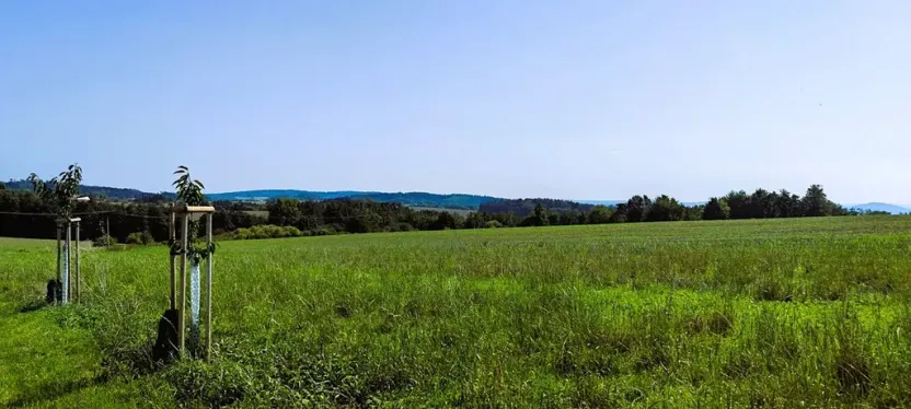 Prodej pole, Klokočná, 636 m2