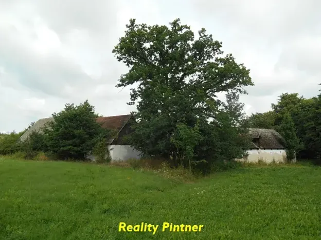 Prodej zemědělské usedlosti, Milevsko, 105 m2