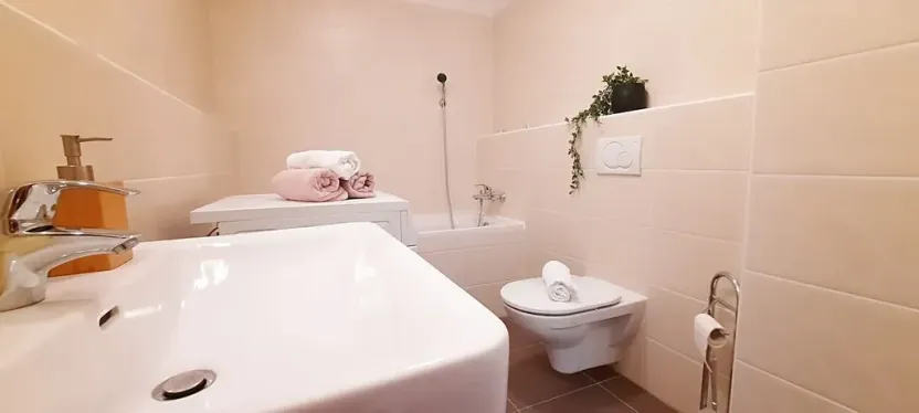 Pronájem bytu 1+kk, Brno, Šemberova, 51 m2