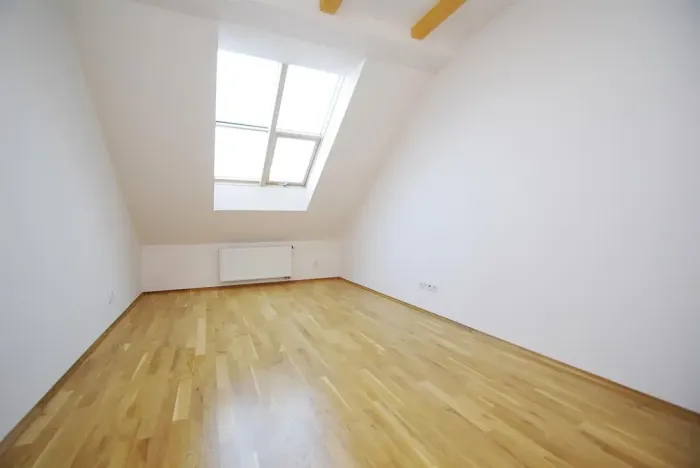 Pronájem bytu 3+1, Praha - Vinohrady, Mánesova, 120 m2