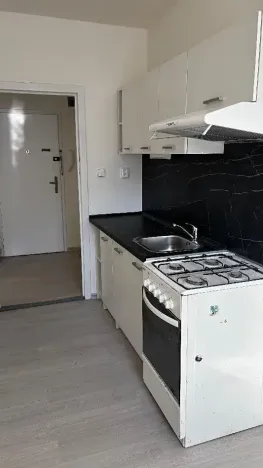 Pronájem bytu 1+1, Ostrava, Vincence Makovského, 38 m2