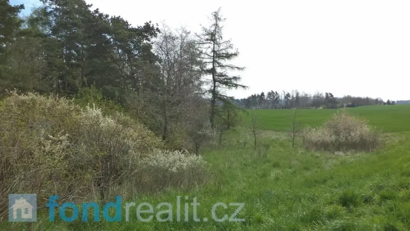Prodej pozemku, Dešná - Dančovice, 1277 m2