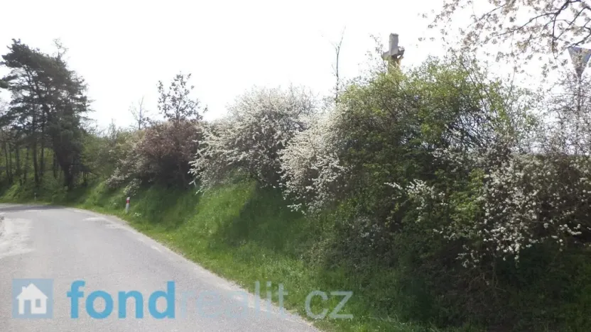 Prodej pozemku, Dešná - Dančovice, 1277 m2